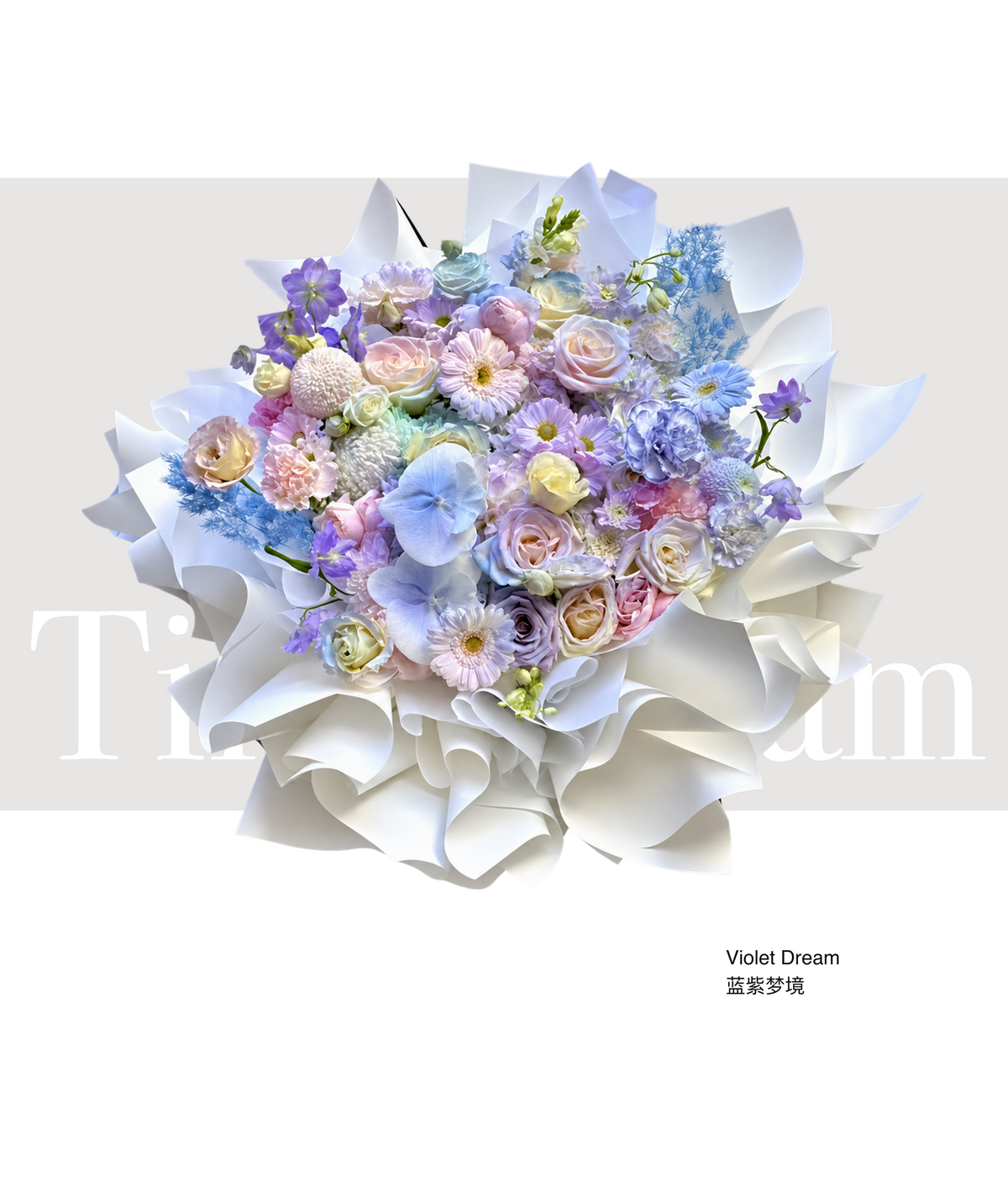 Violet Dream 蓝紫梦境