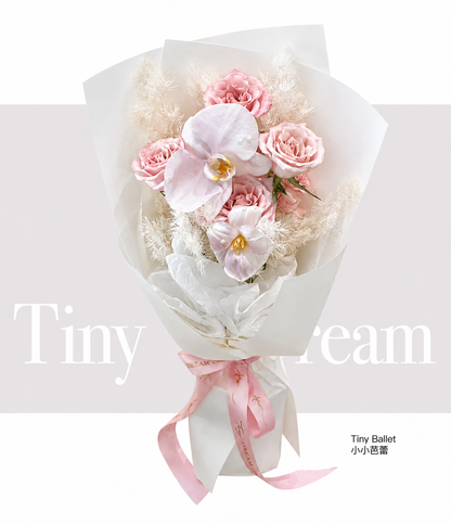 Tiny Ballet 小小芭蕾 — product hero
