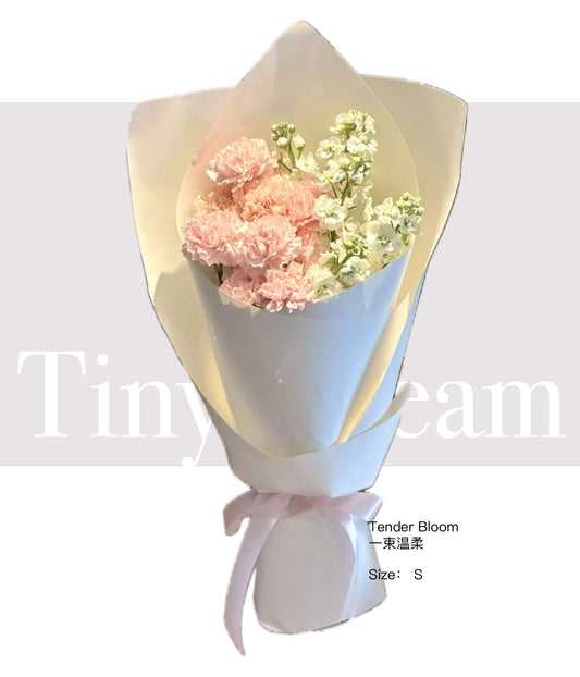 Tender Bloom 一束温柔