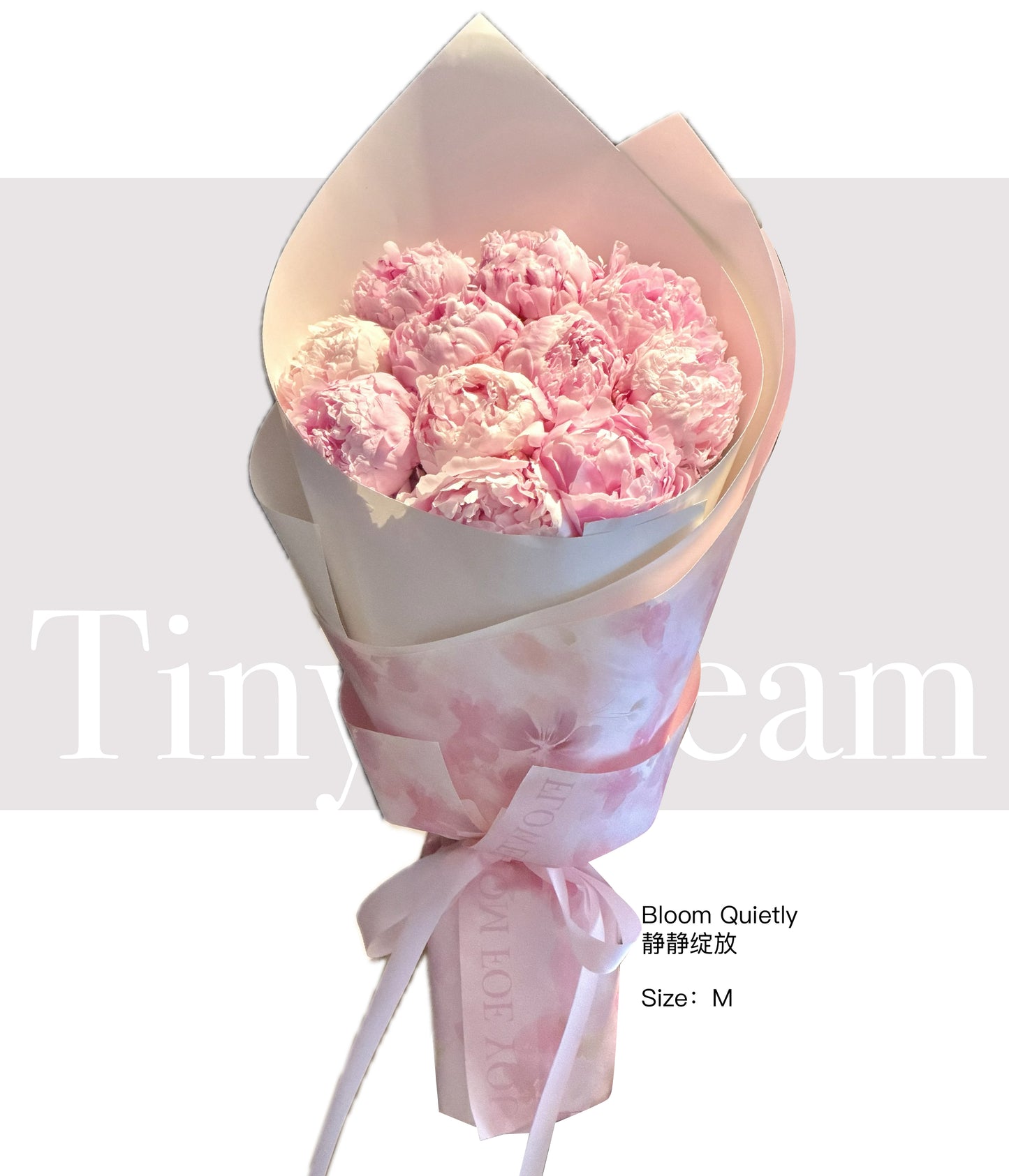 Bloom Quietly 静静绽放