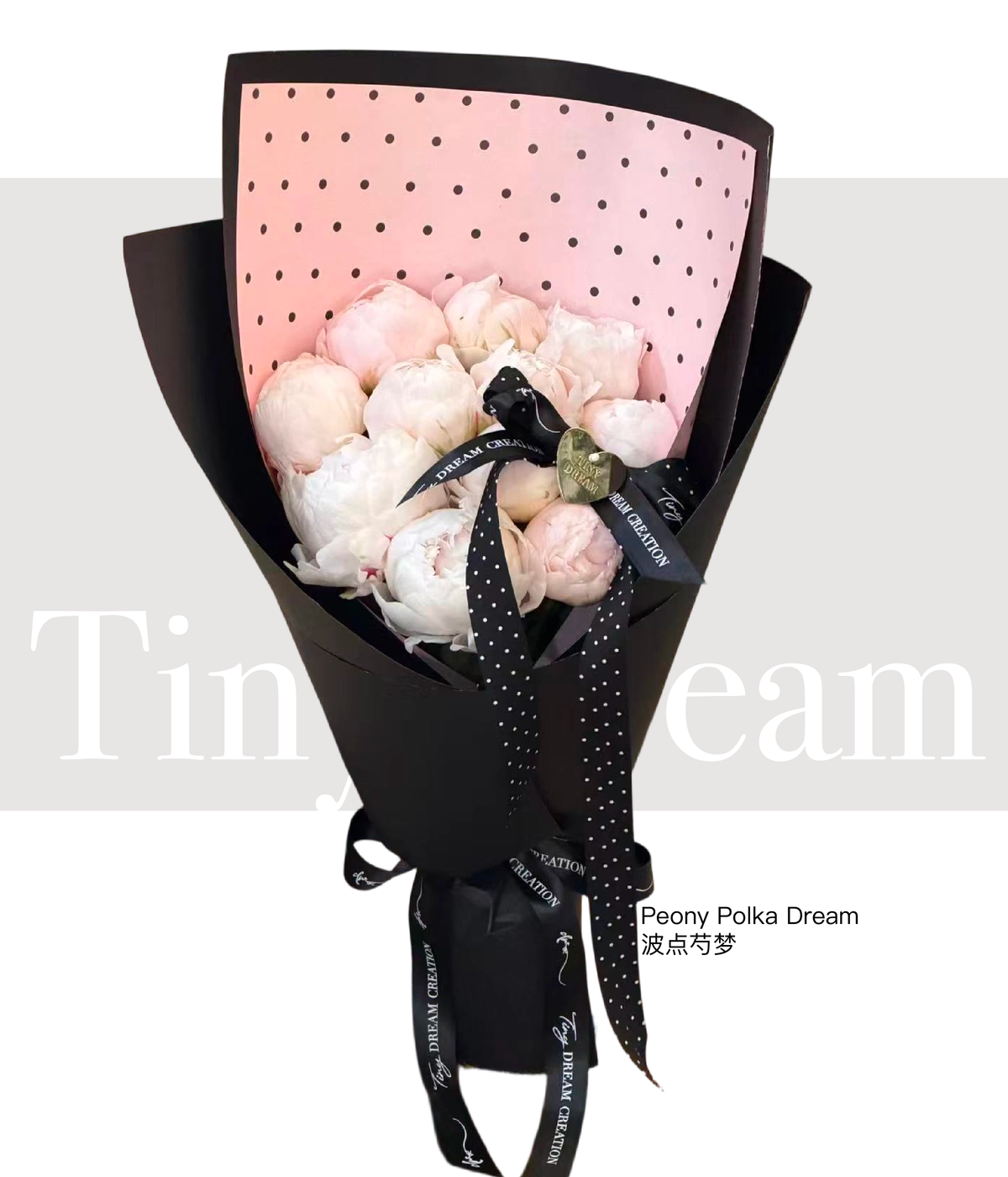 Peony Polka Dream 波点芍梦
