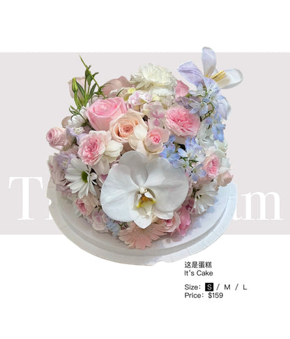 It‘s Cake 这是蛋糕