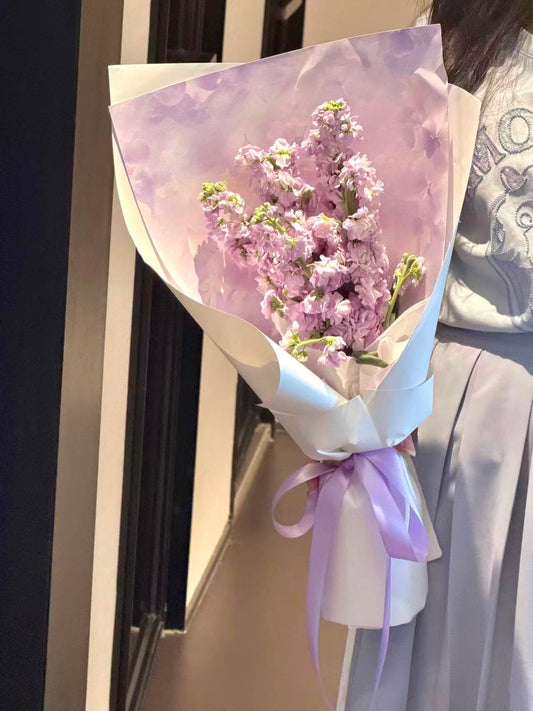 Mom‘s Love 妈妈的爱