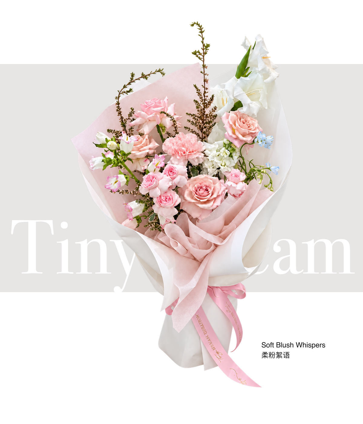 Soft Blush Whispers 柔粉絮语 product image